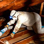 project of crawl space clean up