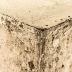 Mold and Mildew in your attic